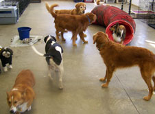 jdpc_daycare_image_01